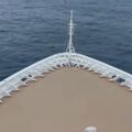 Морские моллюски «держат в заложниках» пассажиров круизного лайнера