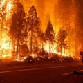 Лесные пожары могут ускорить глобальное потепление — ученые