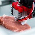 В Израиле научились печатать мясо