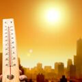 «Аномальная» жара становится новой климатической нормой