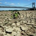 Засуха в Европе может стать самой сильной за 500 лет