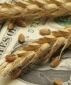 Продкорпорация огласила цену на зерно в Казахстане
