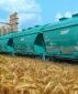 Экспорт казахстанского зерна в Китай увеличится с помощью терминалов