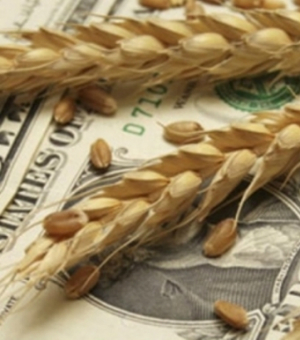 Цена на закуп пшеницы
