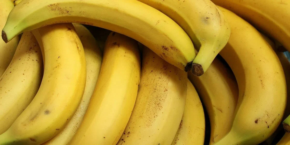 Кризис в раю: Эквадор может оставить мир без бананов