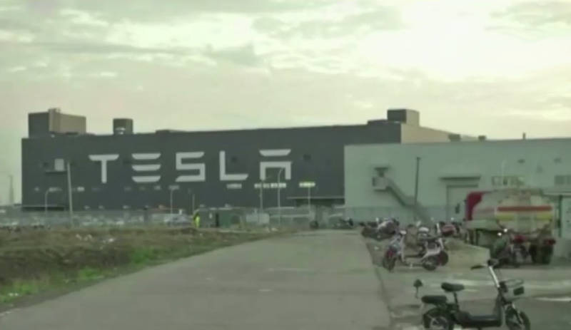 Строительство завода Tesla в Германии остановили ради сохранения змей